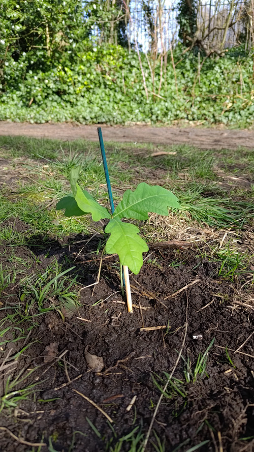 P 20260322 140244.jpg