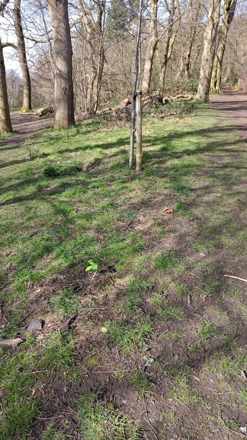 P 20260322 140158.jpg