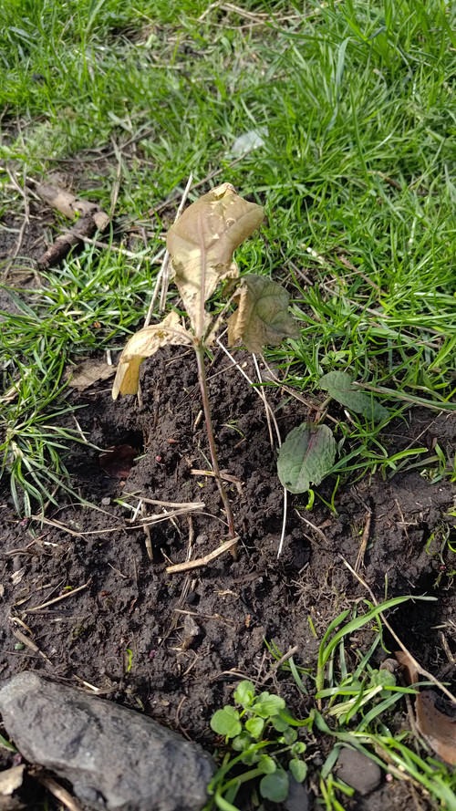 P 20260406 140741.jpg