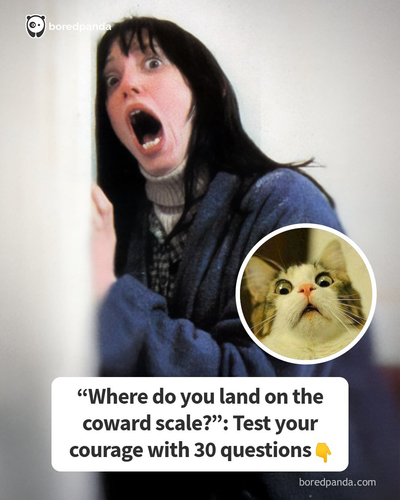 image (46).png