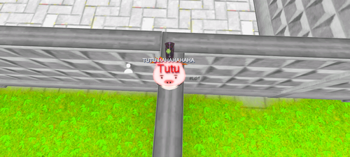 imagen.png