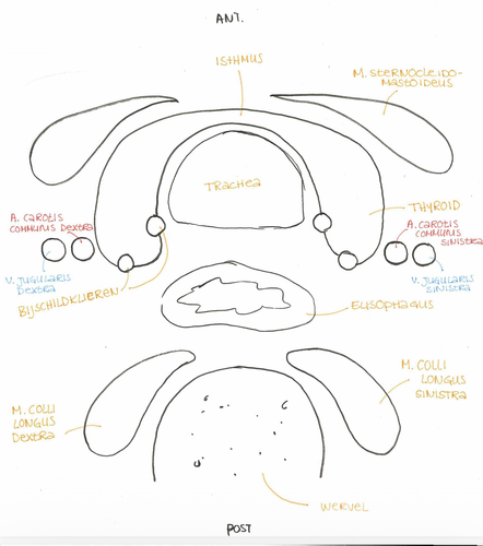 a0571555ec6d.png