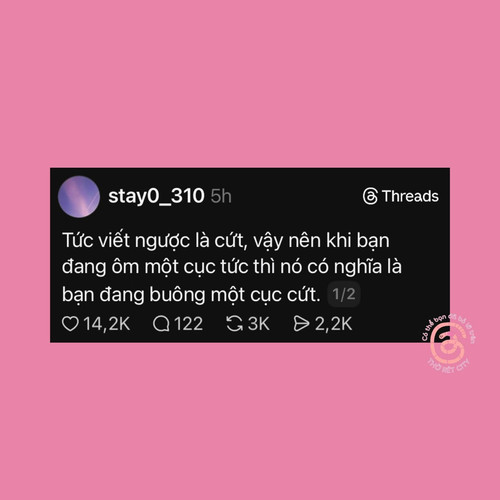 b1a65ec6c42c.jpg