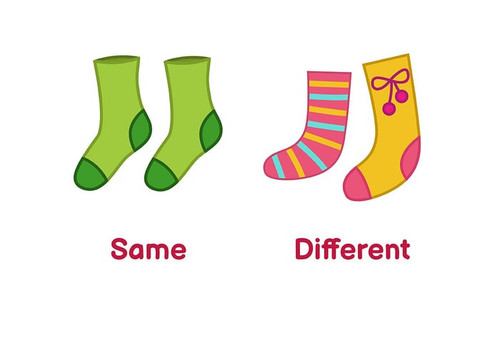 Teaching Kids About Same And Different Concept.1