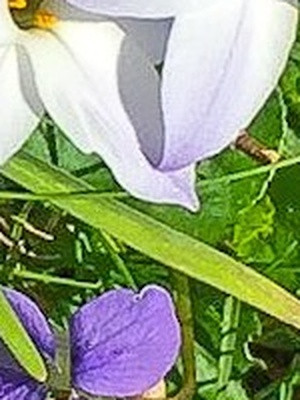 a8639f30f51e.jpg