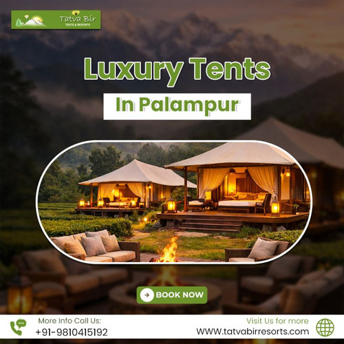 Luxury Tents In Palampur.jpg