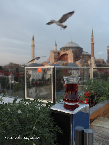 OLYMPUS DIGITAL CAMERA.jpg