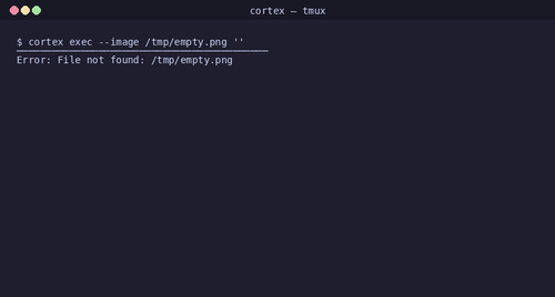 gen 0020 cli 20260407 171415.png