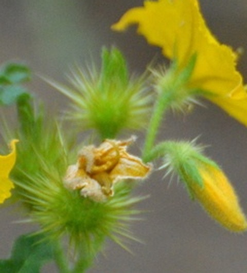 3dfa84625de7.jpg