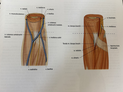 1ef135141f17.jpg