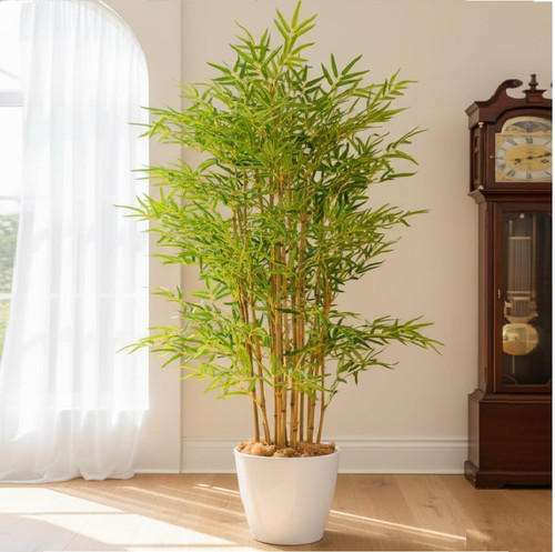 61Y2Q ZTC9L. SL1060 .jpg