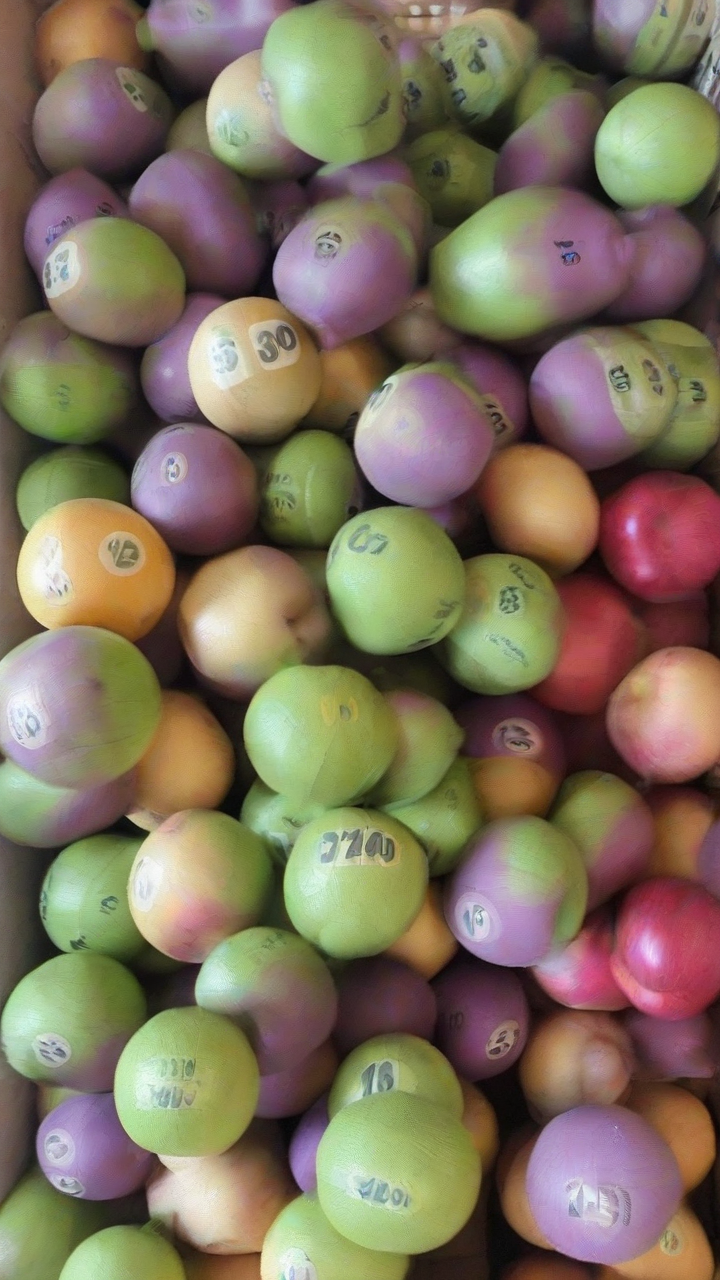 Lotto draws produce 2 winners