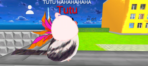 imagen.png