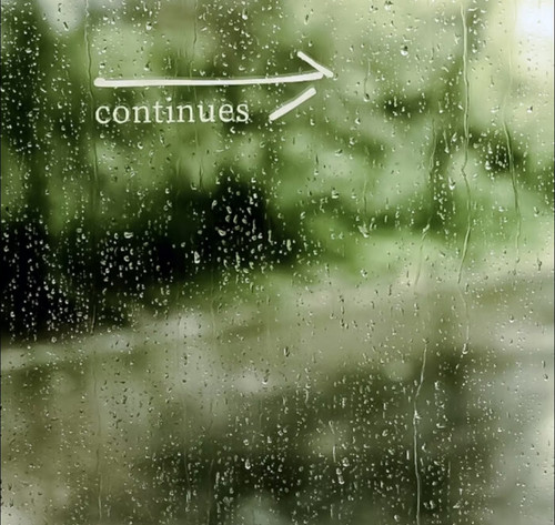 IMG 20260318 103914.jpg