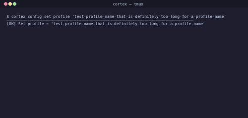 gen 0005 cli 20260407 141028.png