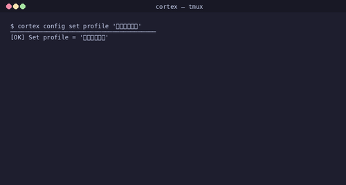 gen 0003 cli 20260407 141028.png