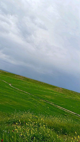 38846e720e7d.jpg