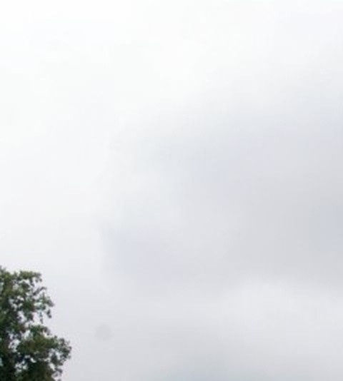 eb17c56c1445.jpg