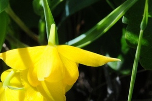 29aceae4863b.jpg
