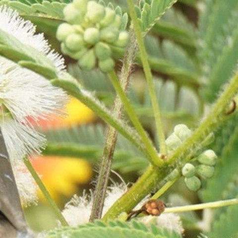 2702f6c23b55.jpg