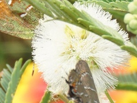 ed722d8f598d.jpg