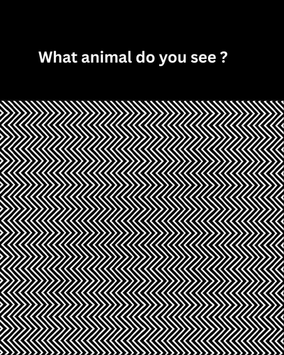 image (21).png
