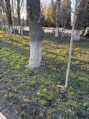 IMG 20260407 192709 441.jpg