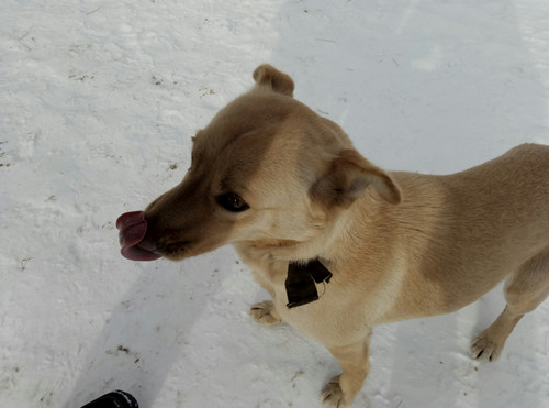 rl 45813925411 o.jpg