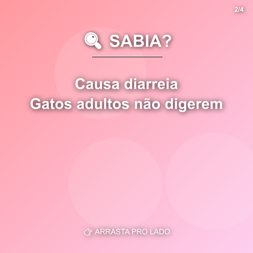carousel 1775566807920 slide2.png