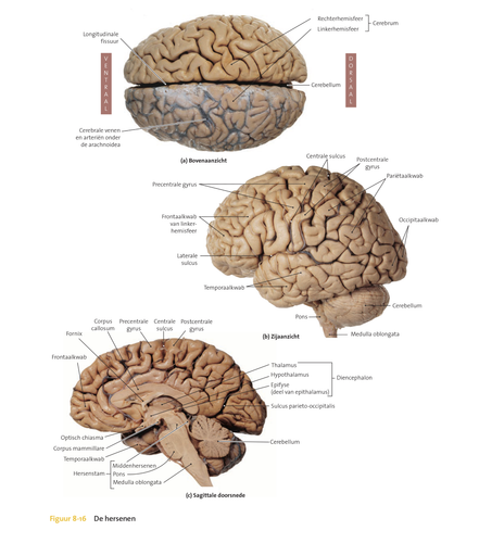 ba6e921365eb.png