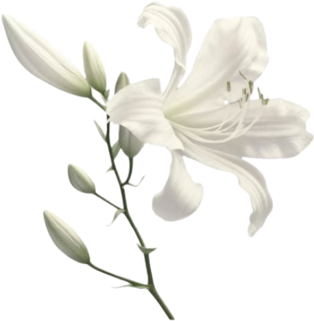 retouch 2026040801335963.png