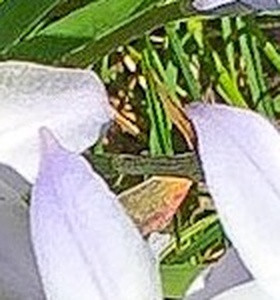 484d6709c5fc.jpg