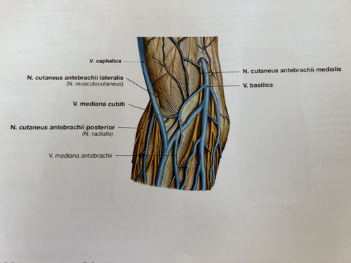 b10bfc30ad09.jpg
