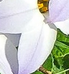 0966027a0529.jpg