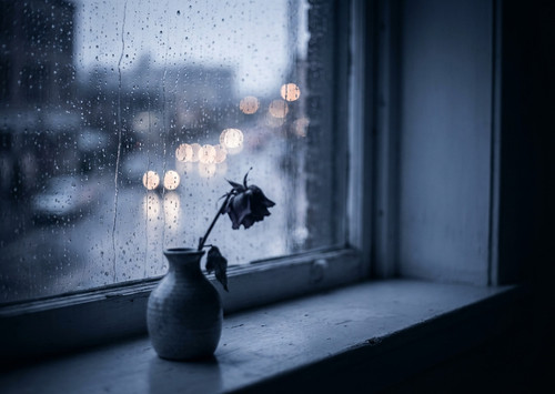611a79dff0a2.jpg