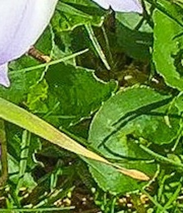 dc1043b4c110.jpg
