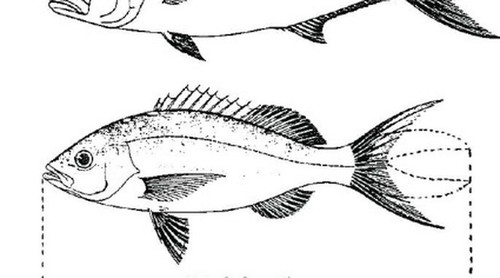 8216c52f4be9.jpg