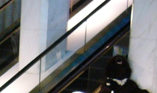 5942a860d0ca.jpg