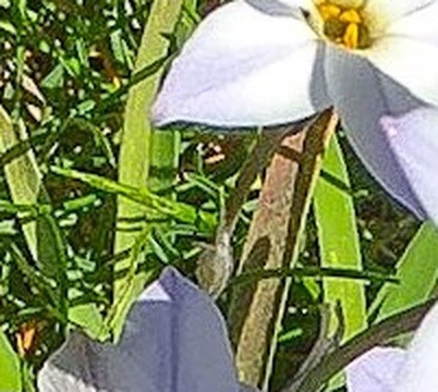 24d768c6d366.jpg