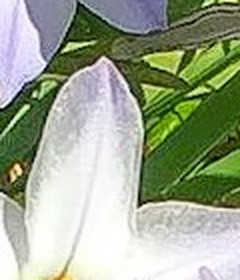 d4385c8c443a.jpg
