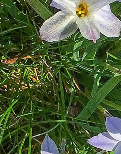 b8a6afd56907.jpg