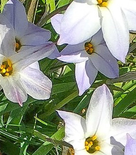 fbca9166f229.jpg