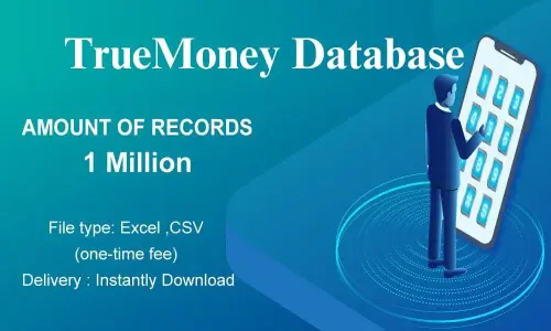 TrueMoney database.webp
