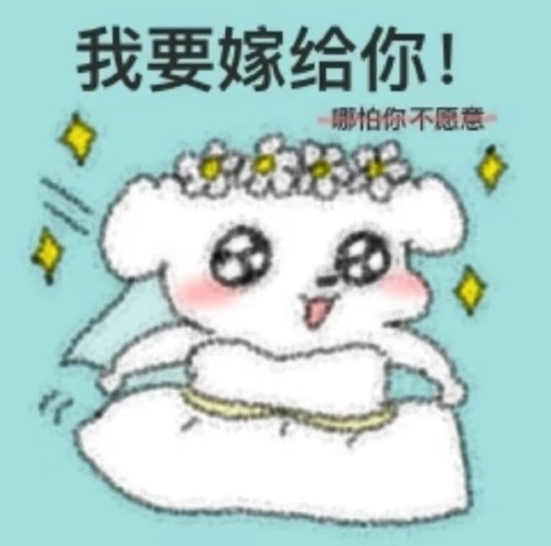 IMG 20260407 232624.jpg
