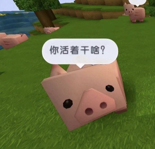 Screenshot 2026 03 29 22 20 02 755 com.xingin.xhs.jpg