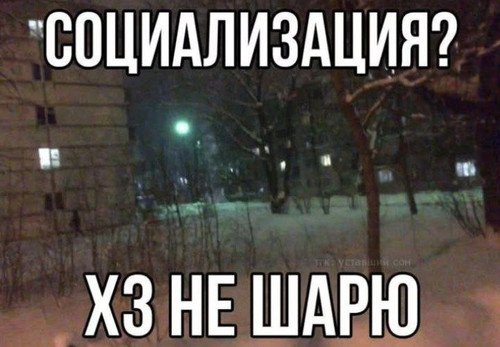 1000567353.jpg