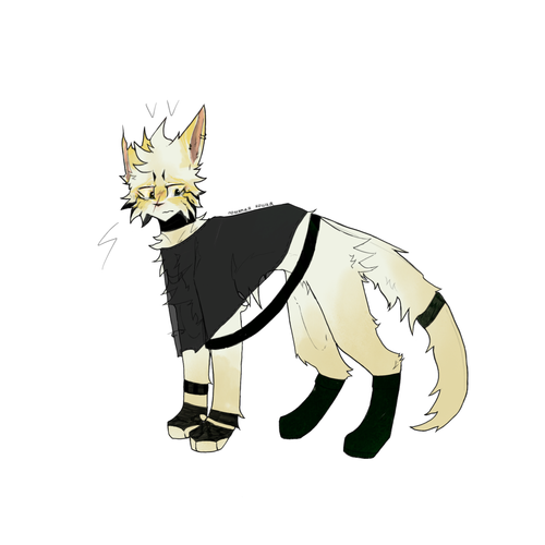 IMG 0004.png