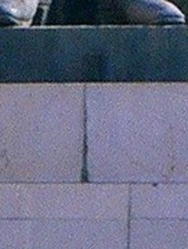 f37b4054cc05.jpg