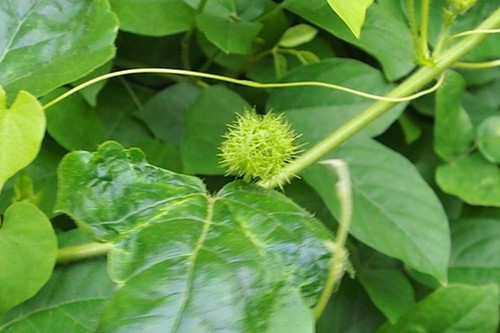 fd1b56860c90.jpg