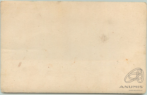 2531083.jpg